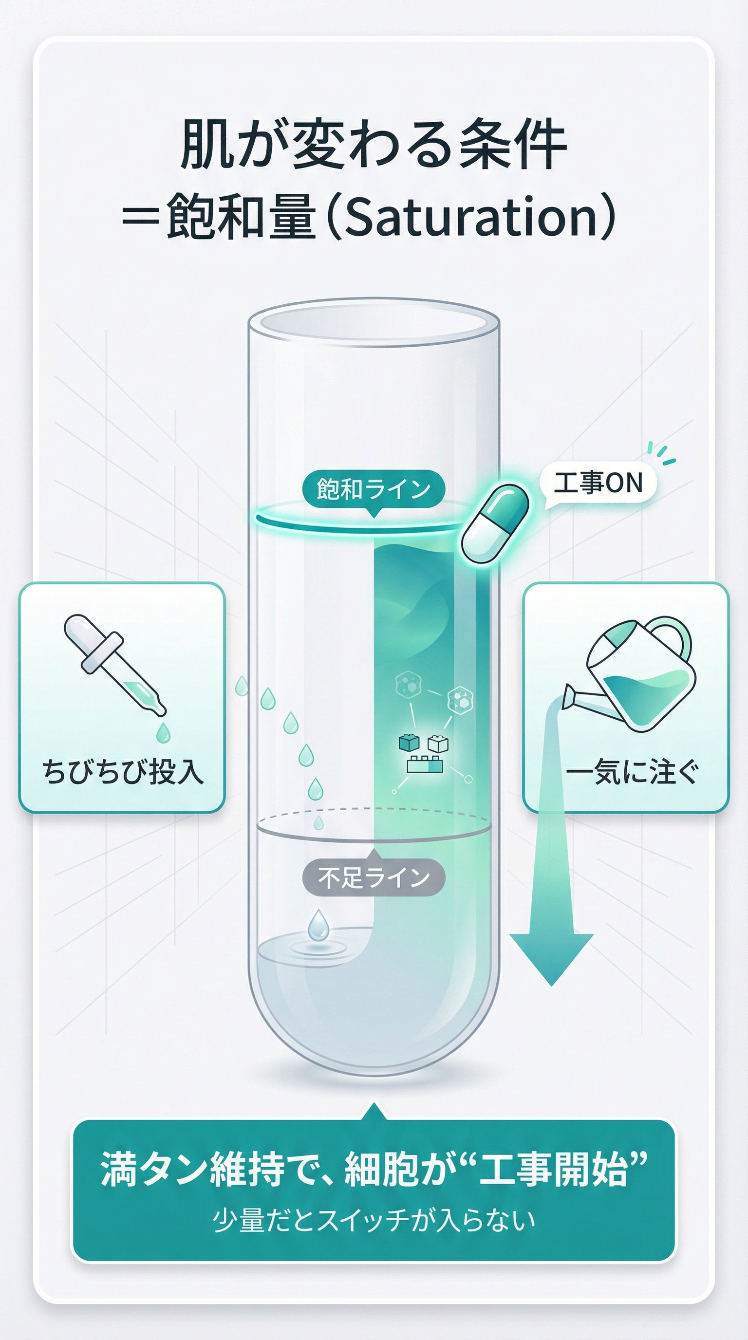 肌が変わる条件＝飽和量（Saturation）